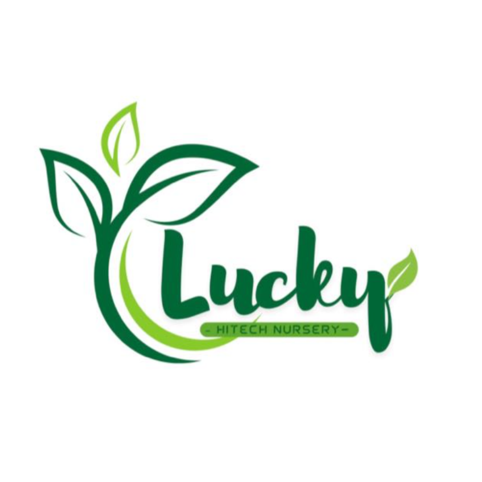 luckyhitechnursery.in